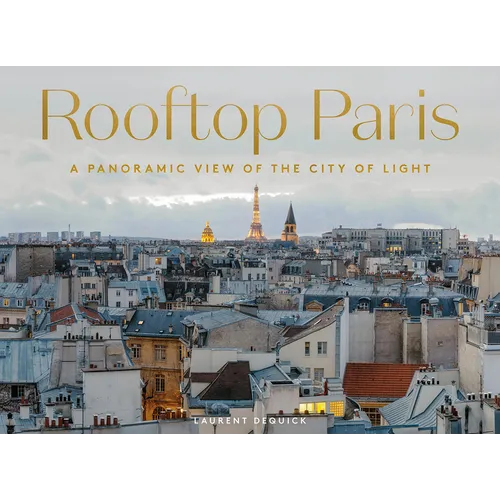 Rooftop Paris: A Panoramic View of the City of Light