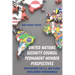 United Nations Security Council Permanent Member Perspectives: Implications for U.S. and Global Intelligence Professionals