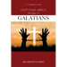 Let's Talk About the Book of Galatians: A Commentary