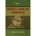 What I saw in America