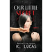 Our Little Secret: A Novella