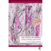 The Status of Women: Violence, Identity, and Activism