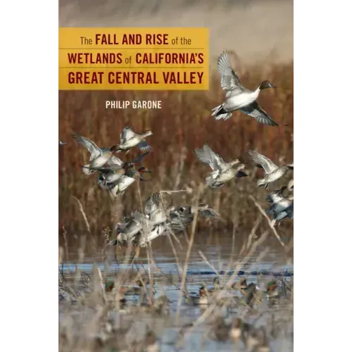 The Fall and Rise of the Wetlands of California's Great Central Valley