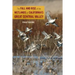 The Fall and Rise of the Wetlands of California's Great Central Valley