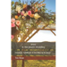 Jesus in the Jewish Wedding: Messianic Fulfillment in the Bible and Tradition