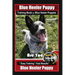 Blue Heeler Puppy Training Book for Blue Heeler Puppies By BoneUP DOG Training: Are You Ready to Bone Up? Easy Steps * Fast Results Blue Heeler Puppy