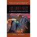 Lady Liberty Weeps: A Dream Disenchanted