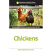 Chickens