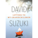 Letters to My Grandchildren