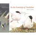 In the Footsteps of Audubon