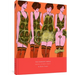 The Complete Crepax: Erotic Stories, Part I: Volume 7