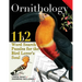 Ornithology: 112 Word Search Puzzles for the Bird Lover's Soul