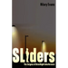 Sliders: The Enigma of Streetlight Interference