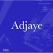 Adjaye: Works 2007 - 2015: Houses, Pavilions, Installations, Buildings