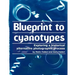 Blueprint to cyanotypes: Exploring a historical alternative photographic process