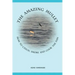 The Amazing Mullet: How To Catch, Smoke And Cook The Fish