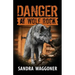 Danger at Wolf Rock