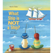 What Ship Is Not a Ship?