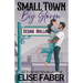 Small Town, Big Storm