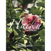Haiku and More
