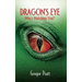 Dragon's Eye: Who's Watching You?