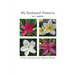 My Backyard Plumeria: A Photo Essay on the Plumeria Flower