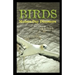 Birds: Modern-Day Dinosaurs