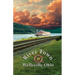 River Town Wellsville Ohio