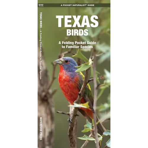 Texas Birds: A Folding Pocket Guide to Familiar Species