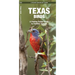 Texas Birds: A Folding Pocket Guide to Familiar Species