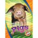 Pigs