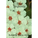 Soul Imprints