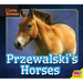 Przewalski's Horses