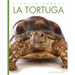 La Tortuga