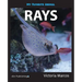 My Favorite Animal: Rays