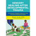 Sensory Healing After Developmental Trauma: The Connected Therapist's Guide to Low-Cost Activities for Working with Children