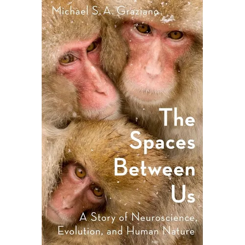 Spaces Between Us C