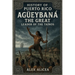 Agüeybaná the Great: Leader of the Taino's