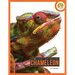 Chameleon