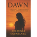 Dawn: A Journey Through Pain, Power, and Providence
