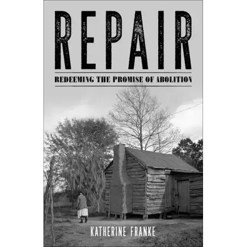 Repair: Redeeming the Promise of Abolition