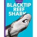 Curious about Blacktip Reef Sharks