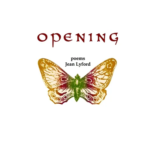 Opening - Paperback