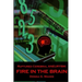 Ruptured Cerebral Aneurysm: Fire in the Brain
