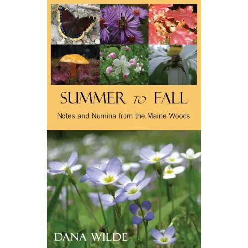 Summer to Fall