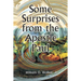 Some Surprises from the Apostle Paul