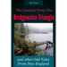The Creature From the Bridgewater Triangle: and Other Odd Tales From New England