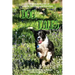 Dog Tales: 12 TRUE Dog Stories of Loyalty, Heroism and Devotion