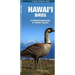 Hawai'i Birds