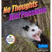 No Thoughts Just Possums: 90 Hilarious Memes